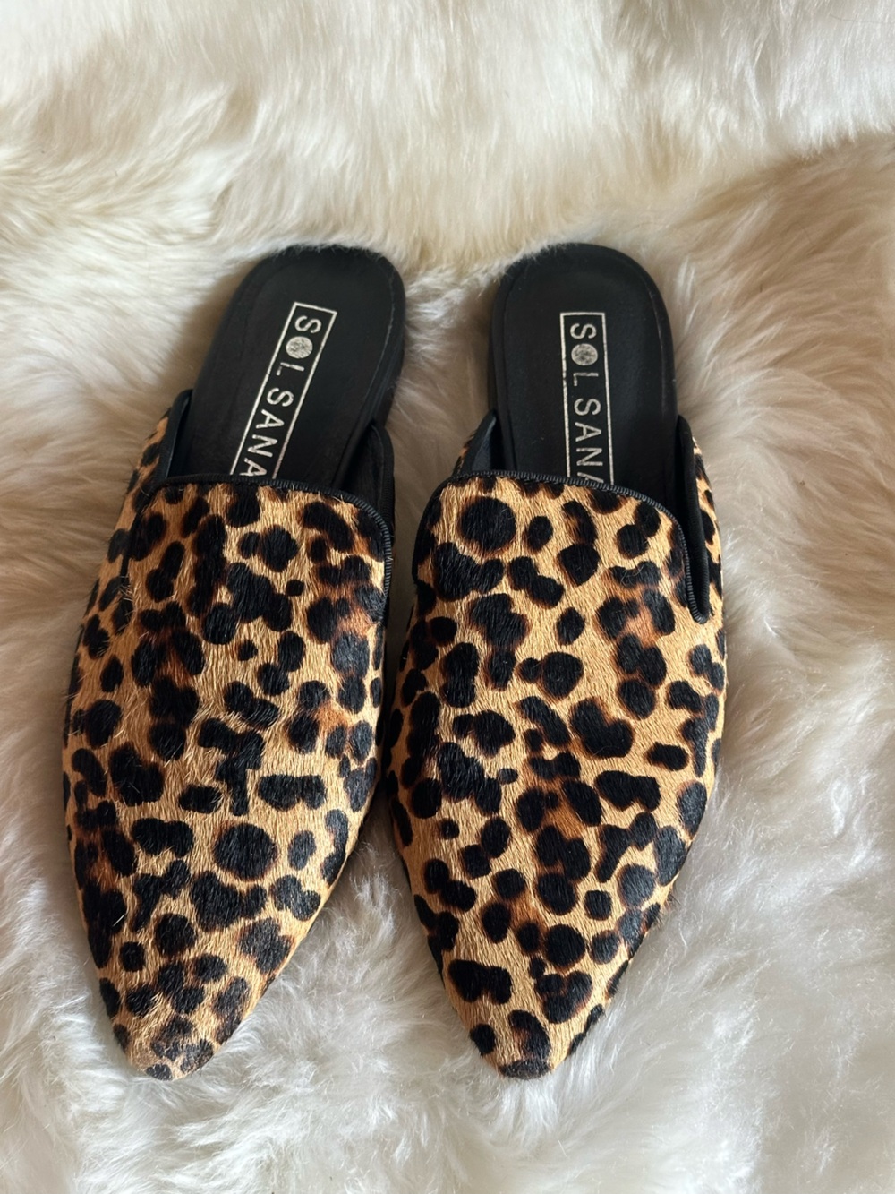 Sol Sana Leopard-Print Pointed Backless Mules in Brown and Black